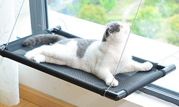cat hammock